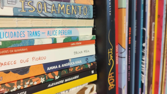 Tem diversidade na sua estante de livros