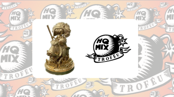 HQMIX